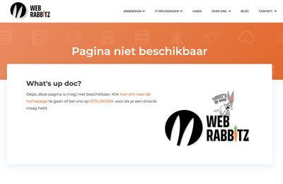 What's up doc? Hoe ga jij om met een 404 pagina? Web Rabbitz 🥕