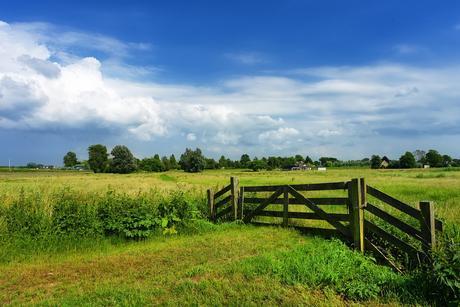 Het Belang van het Maken van een Goede Zakelijke Website in Zuid-Holland - Web Rabbitz 🥕